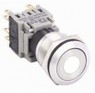 HBS1-BGQ-11EW12S  Interruttore  acciaio inox  19mm Dot Led White 12V