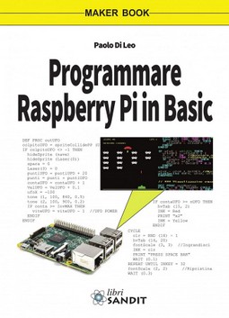 PROGRAMMARE RASPBERRY PI IN BASIC